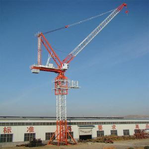 Luffing Tower Crane 55M 2.15-12T
